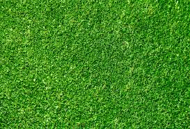Artificial grass installation services